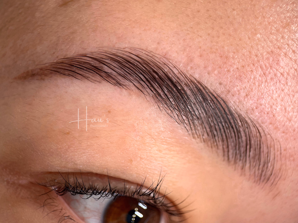 Brow & Lash Styling