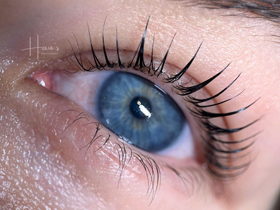 Korean Lashlifting - Wimpernlifting